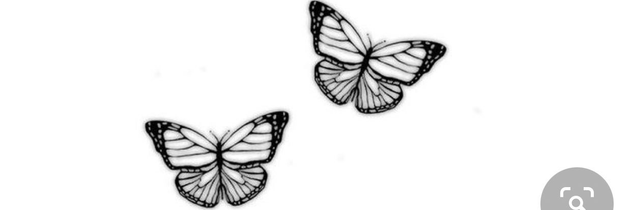 KayleeSisson's profile banner image