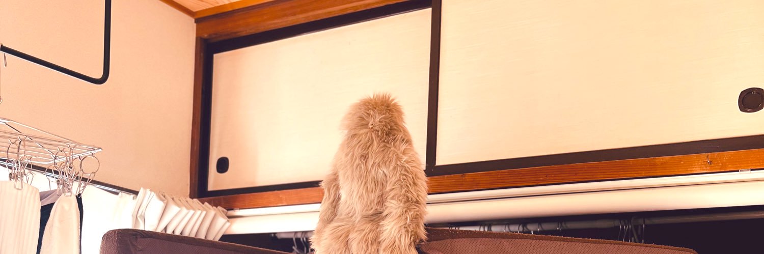 booo's profile banner image