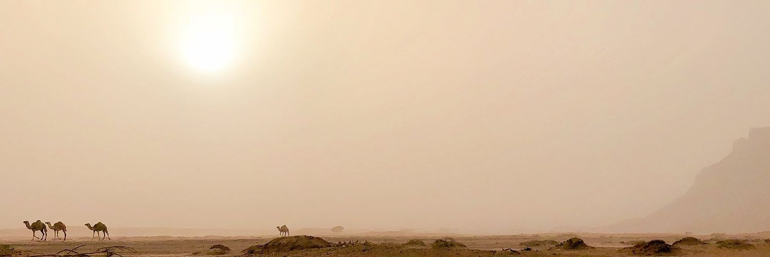 droob14's profile banner image