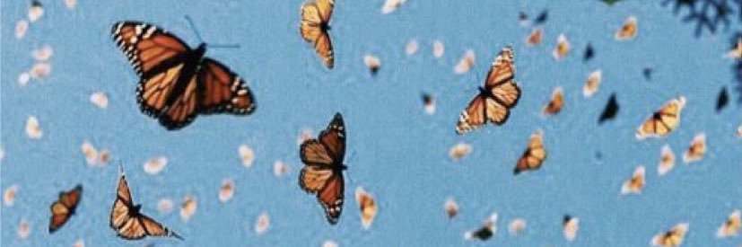 gab_lynch's profile banner image