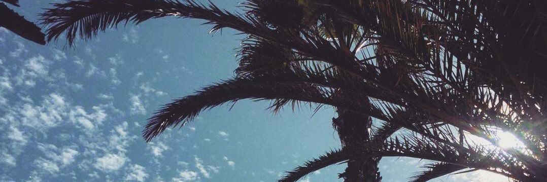 HelenaFibla's profile banner image