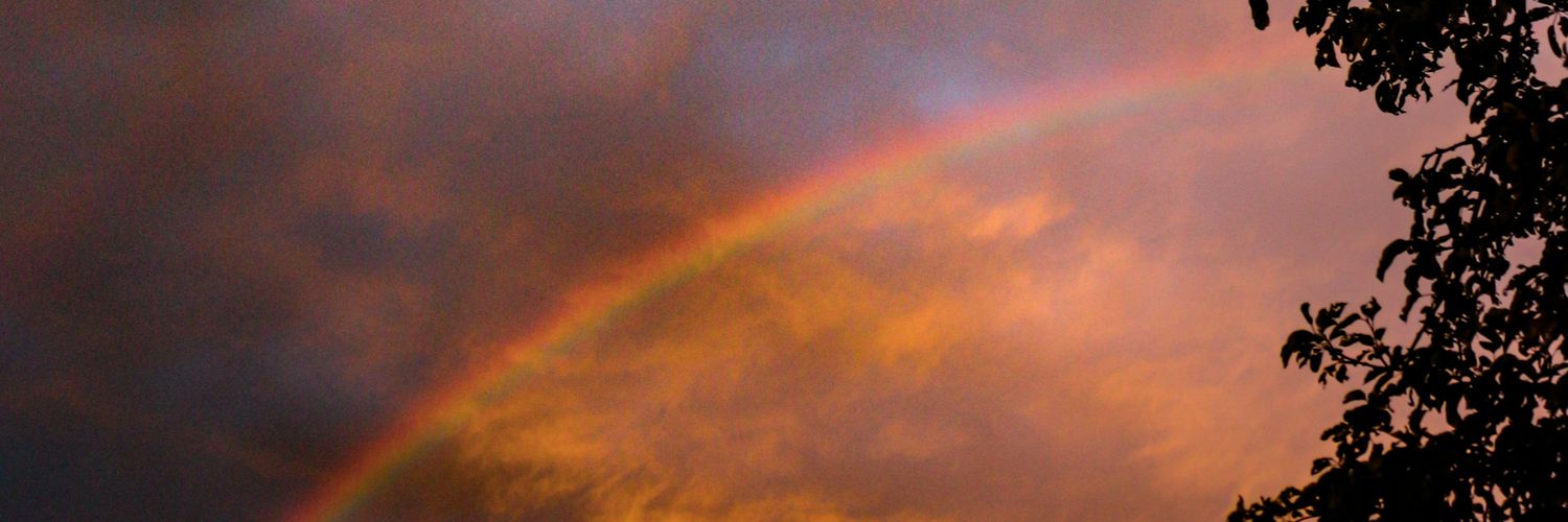 LUZl48's profile banner image