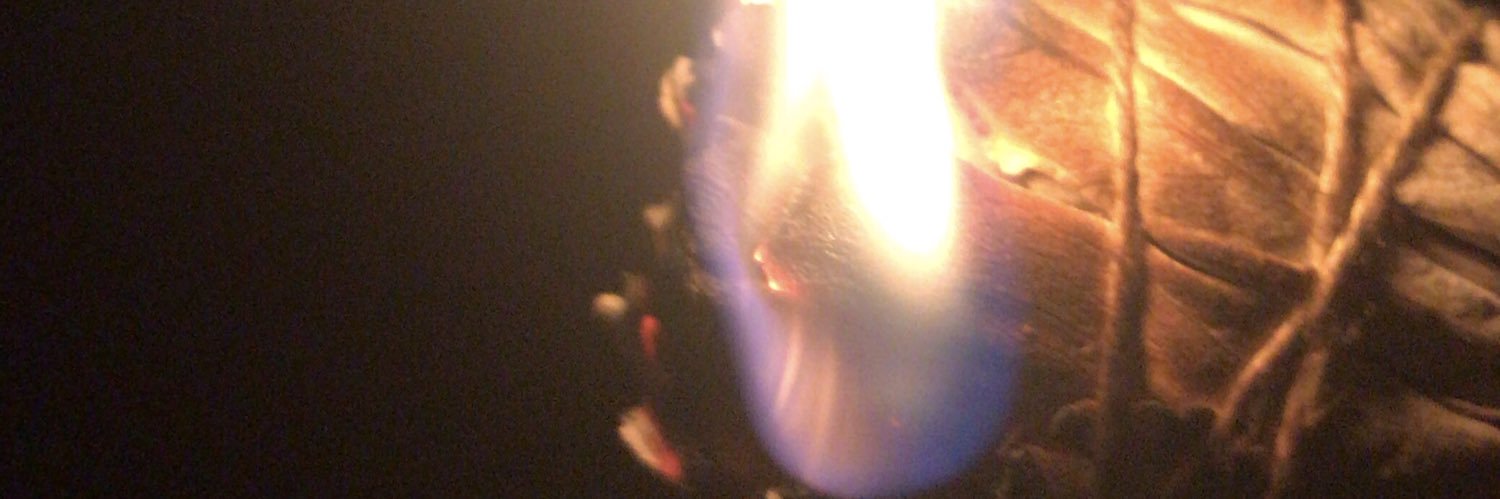 SoulIgnitor's profile banner image