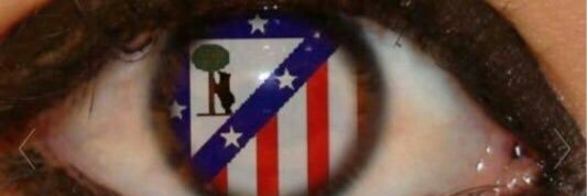 ALV banner