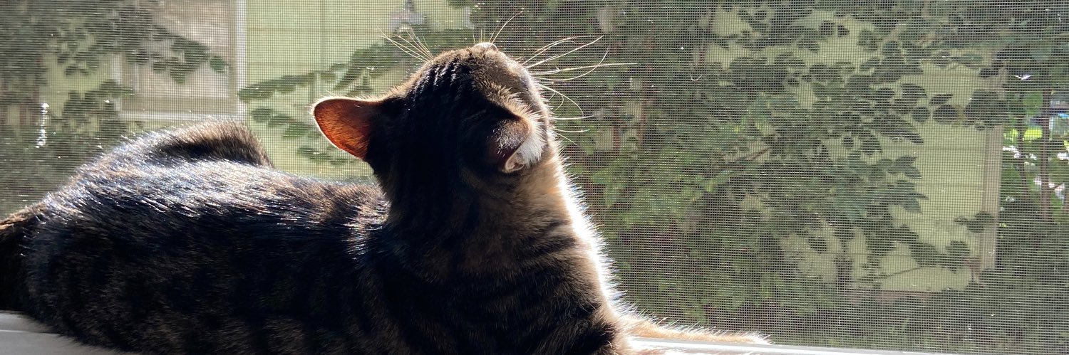 MurphyKaycie's profile banner image