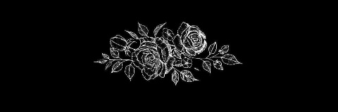 JazminPizzi's profile banner image