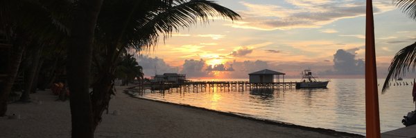 TraderCisco Profile Banner