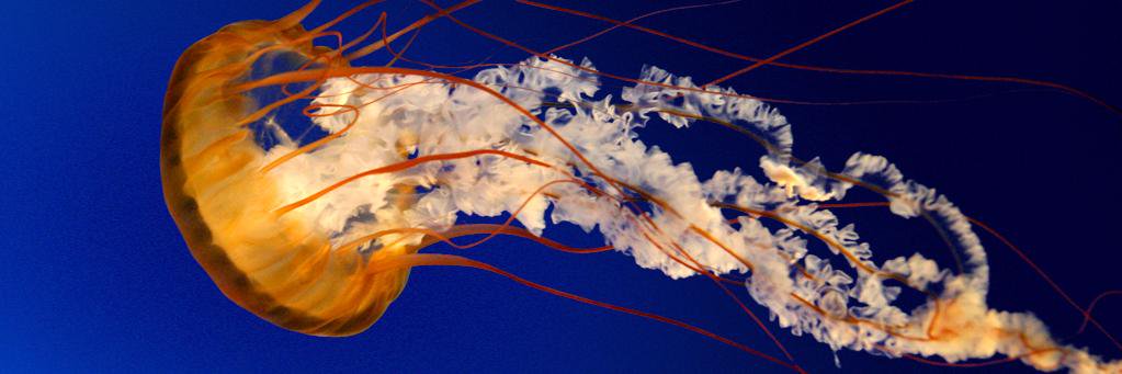 thekasonpoint's profile banner image