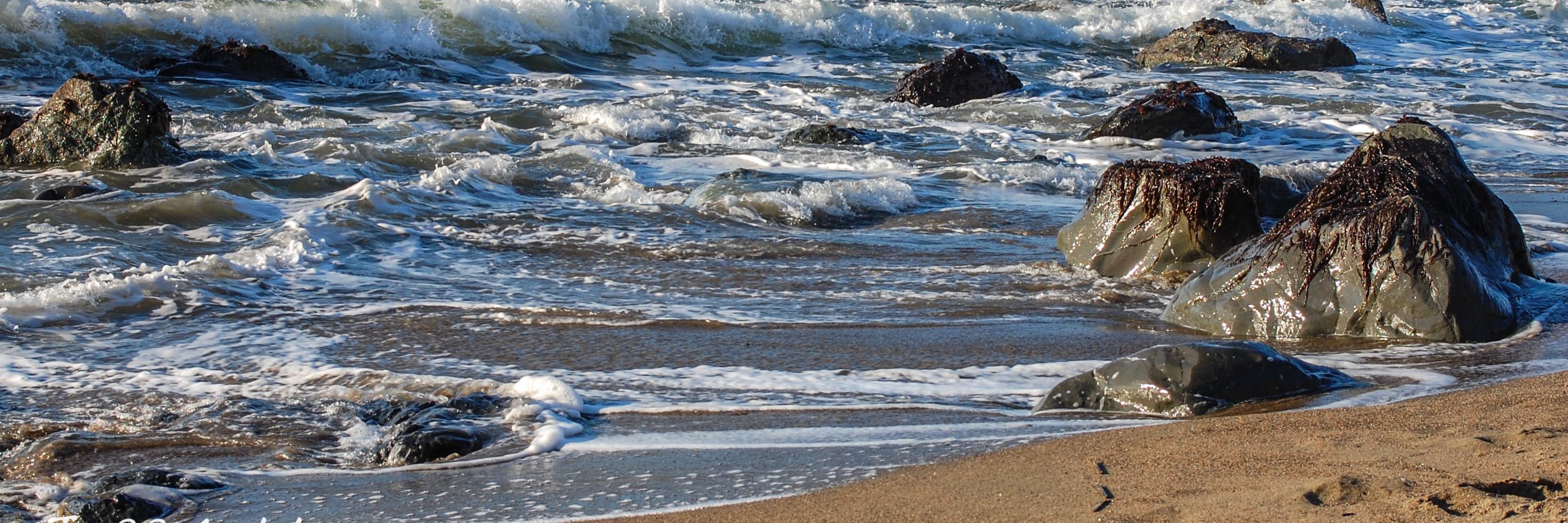 Jeffrey Erik Moller banner