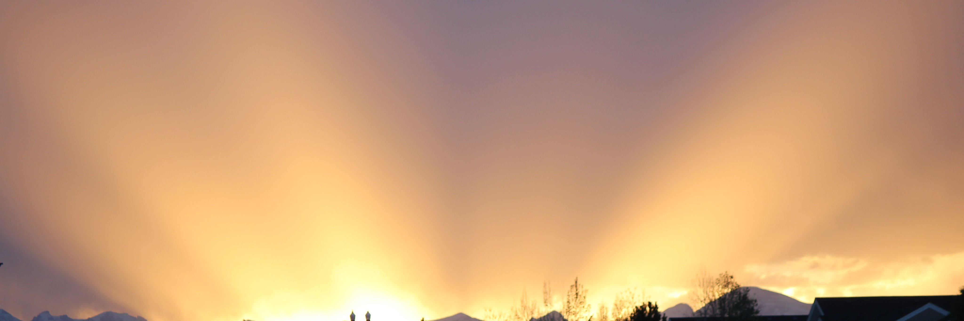 M James Photography banner