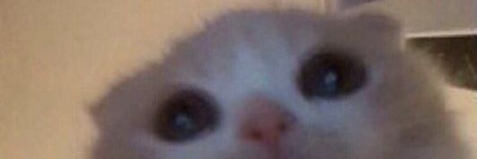 probablygrey's profile banner image