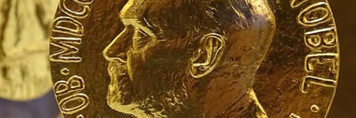 cemeruco's profile banner image