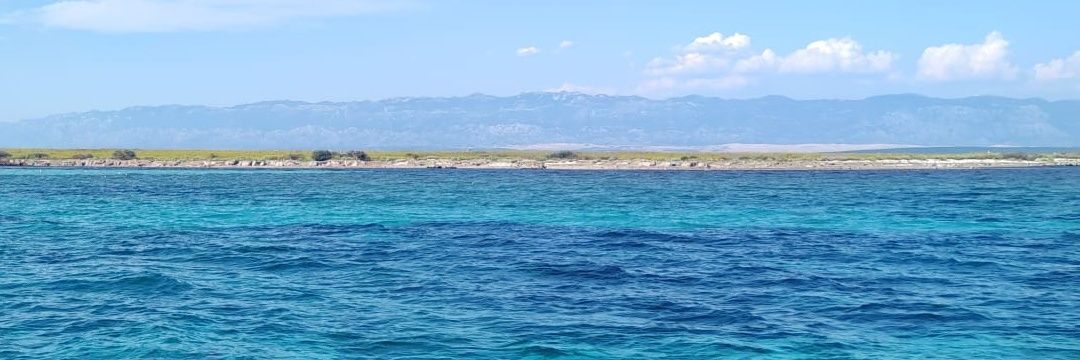 viniciotro... i💓🇮🇹 banner