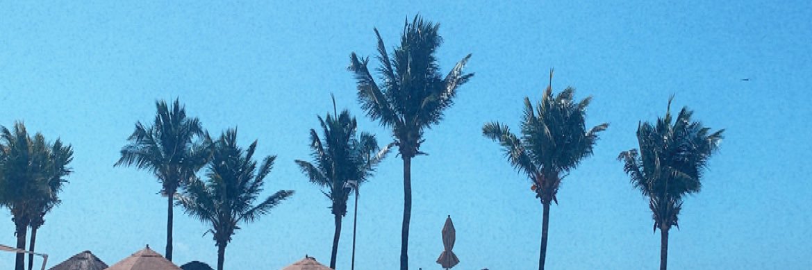 DestineeClark1's profile banner image