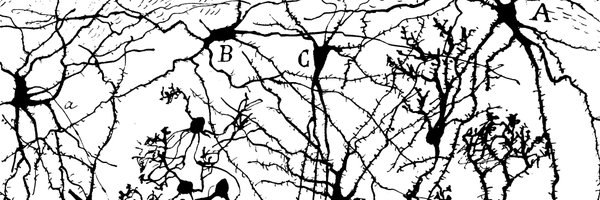 cavearr Profile Banner
