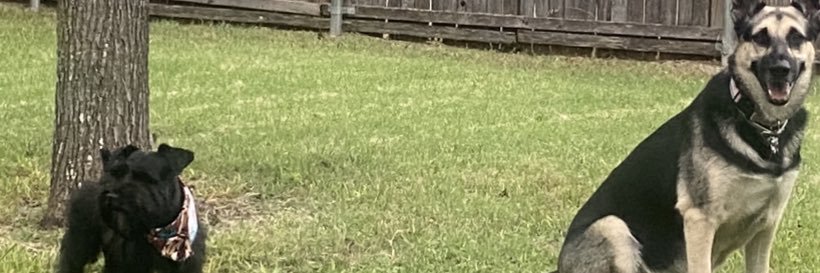 SelfMadeDQ_'s profile banner image