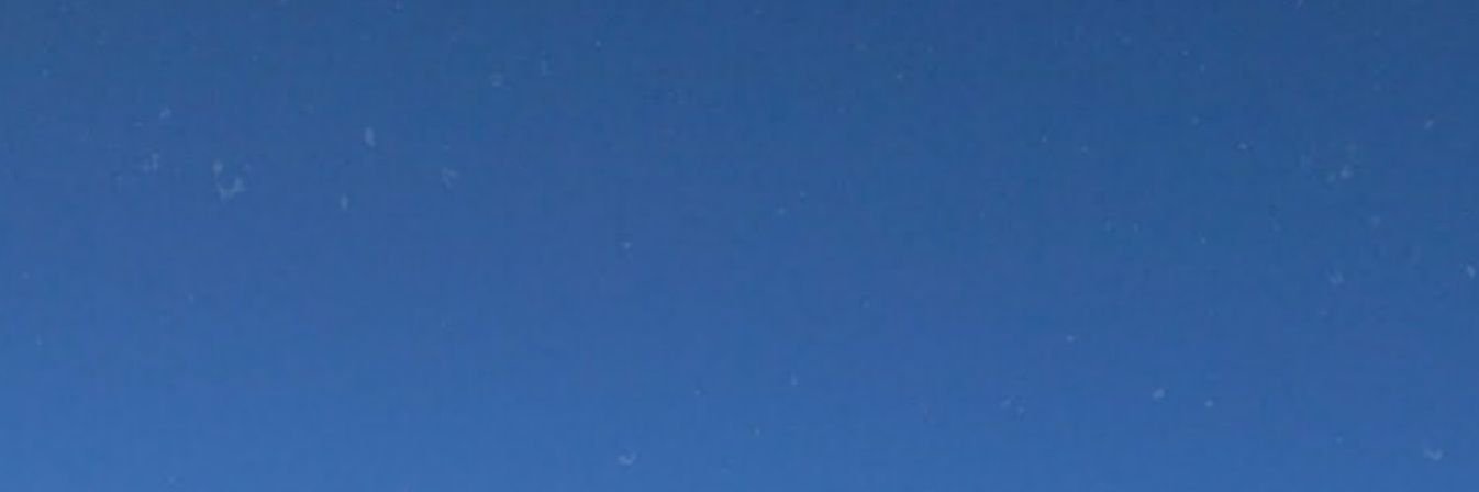 Celia_Quijada's profile banner image