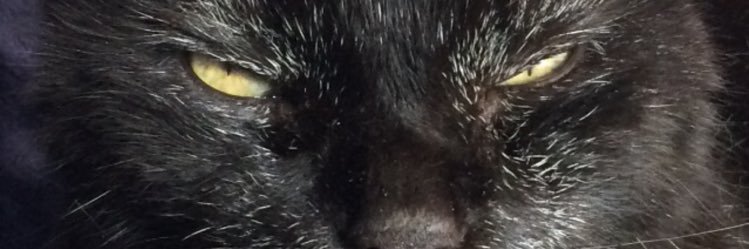 thomasstacey183's profile banner image