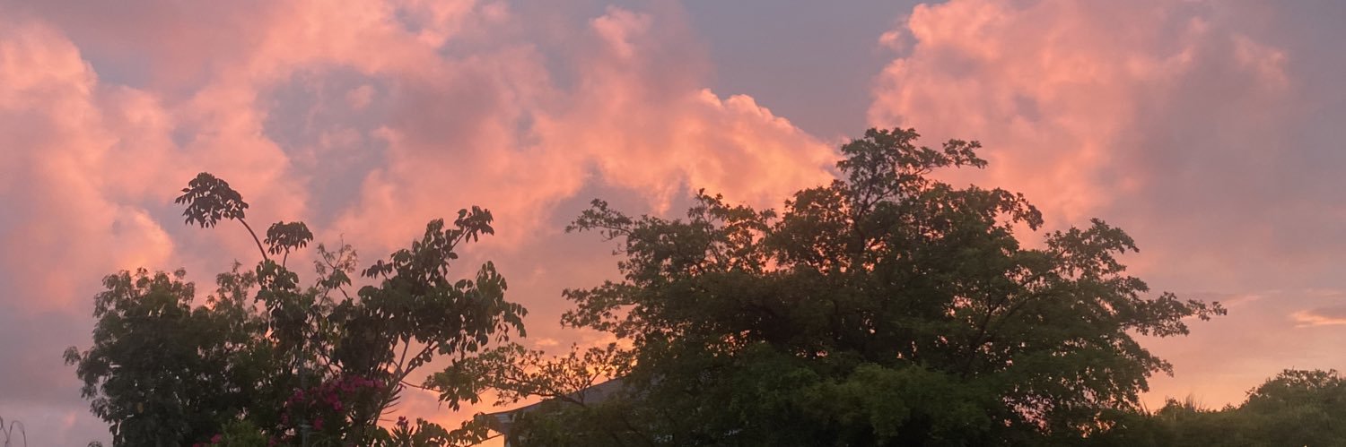 JanaeeDominique's profile banner image