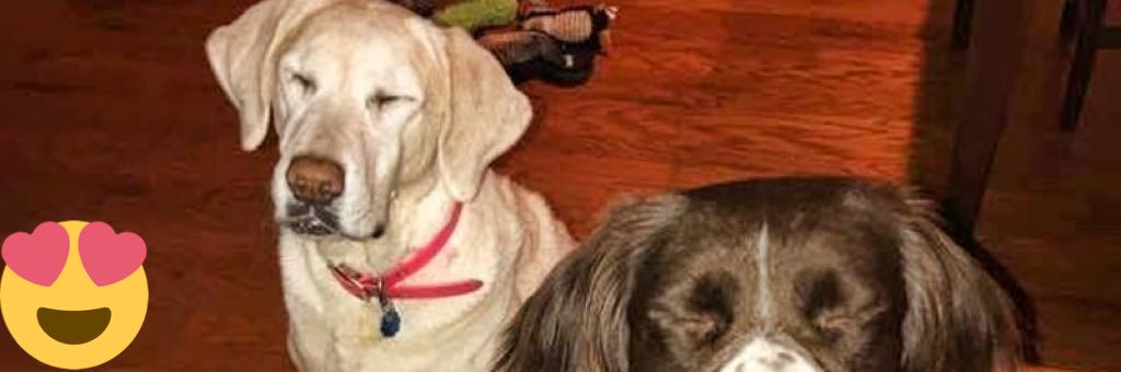 petev's profile banner image