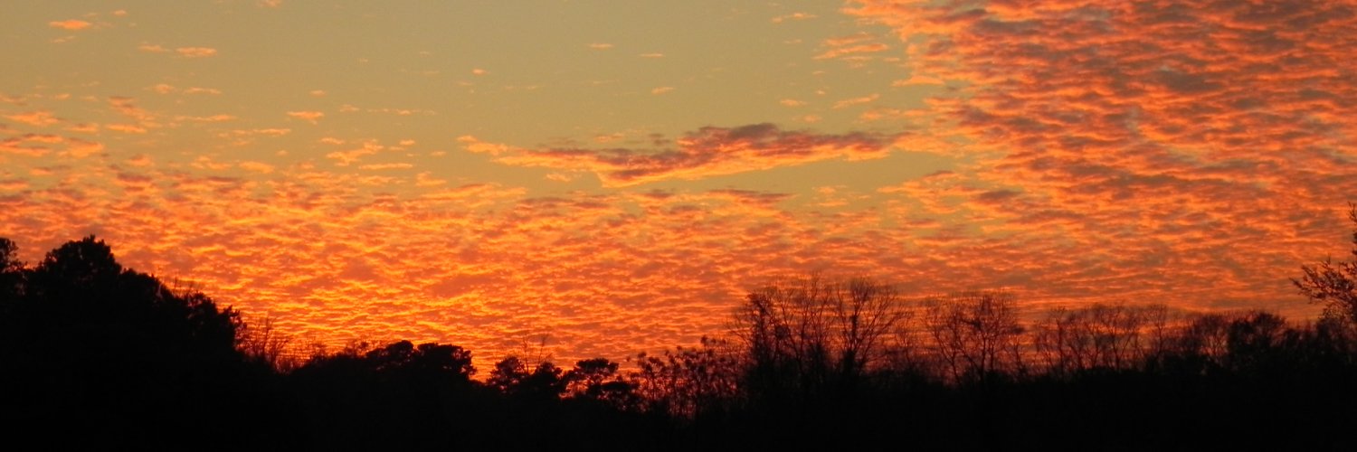 RealEstateCate1's profile banner image