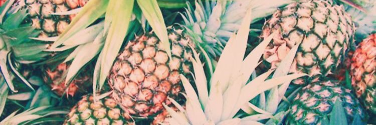 nikki_olson's profile banner image