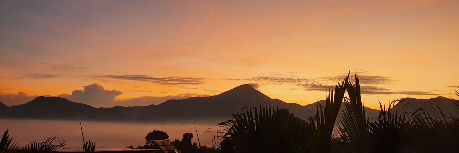 adolfinasandry's profile banner image