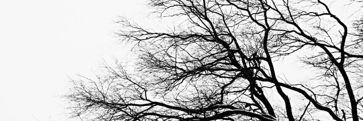 CaroM77's profile banner image