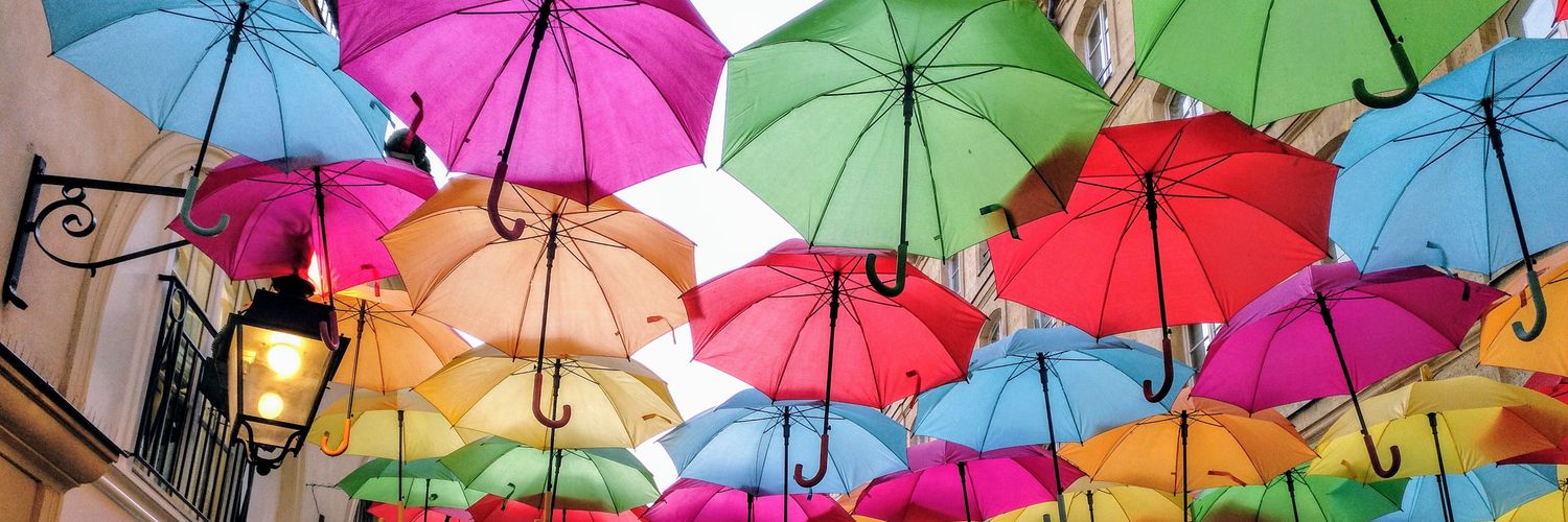 María Sánchez banner