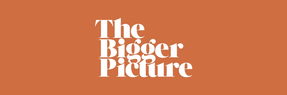 The Bigger Picture banner