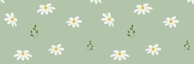 nez banner