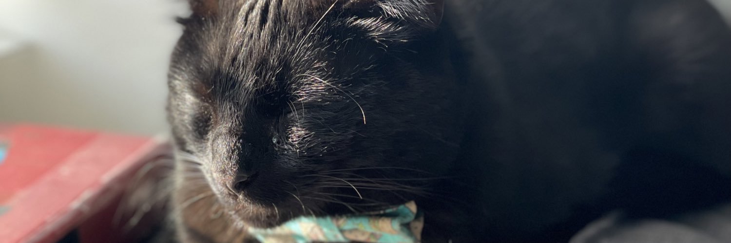 spalinabean's profile banner image