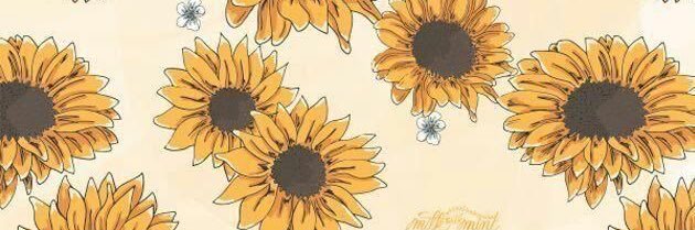 B_nainai's profile banner image