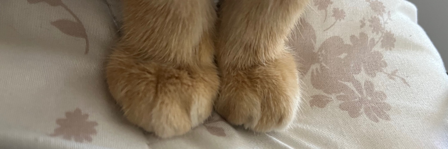PattyRiceee's profile banner image