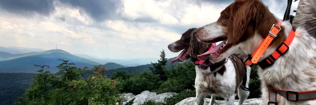 aemccain's profile banner image