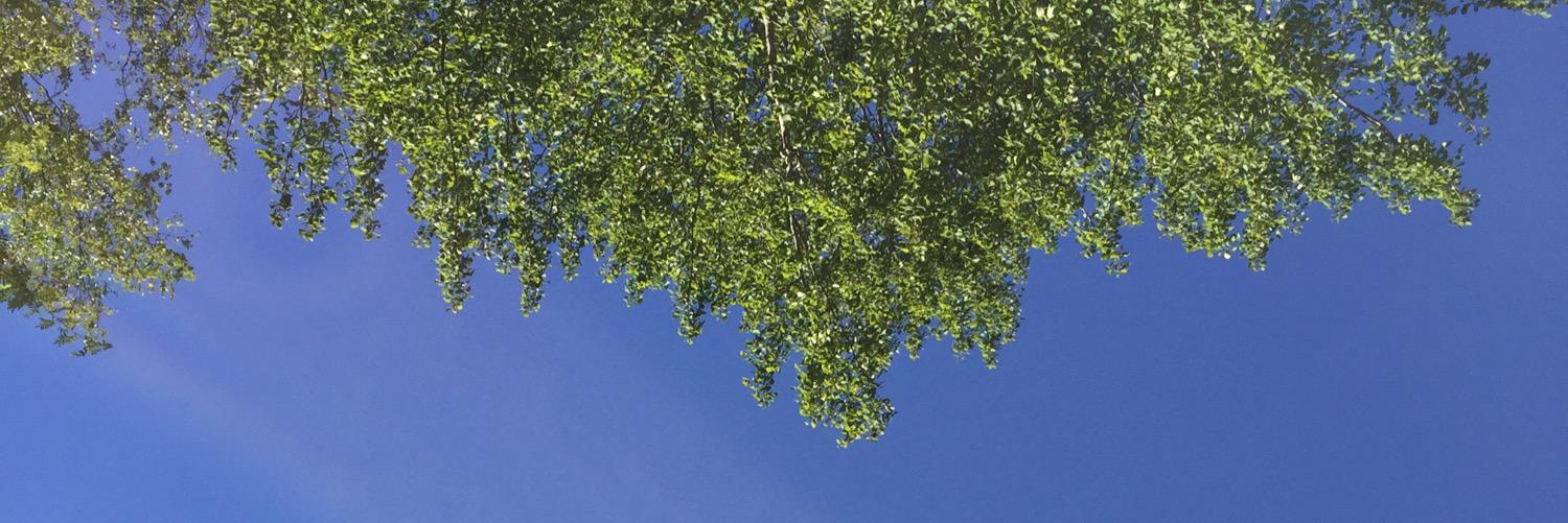 DNyheim's profile banner image