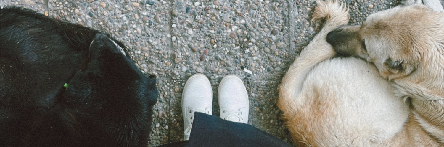 simgeyldzzzz's profile banner image