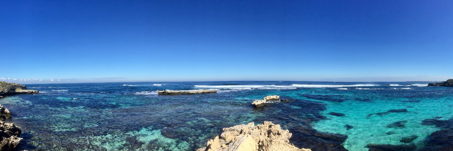 Hannah Calich, PhD banner