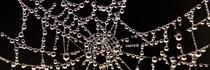 derogatorium's profile banner image