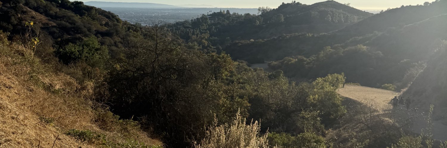 Rizsbox's profile banner image