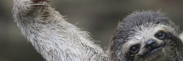 bdGremillion's profile banner image