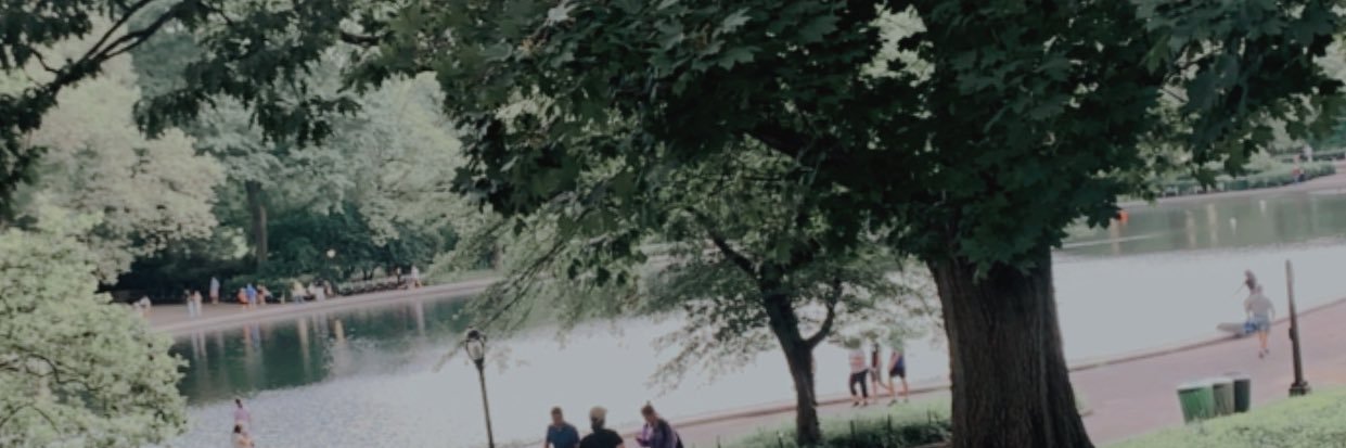 AlbertoCMU's profile banner image