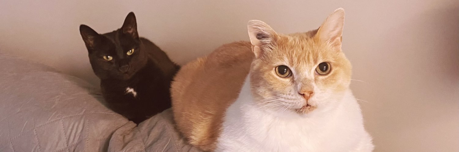 SarahMSomething's profile banner image