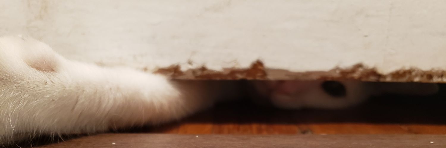 ShutUpNickAllen's profile banner image