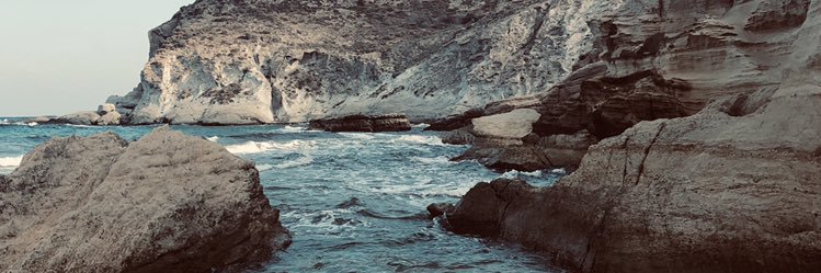 Bea_999's profile banner image