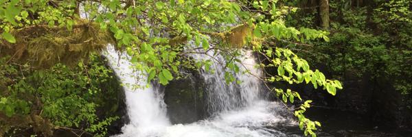 Kryptinite Profile Banner