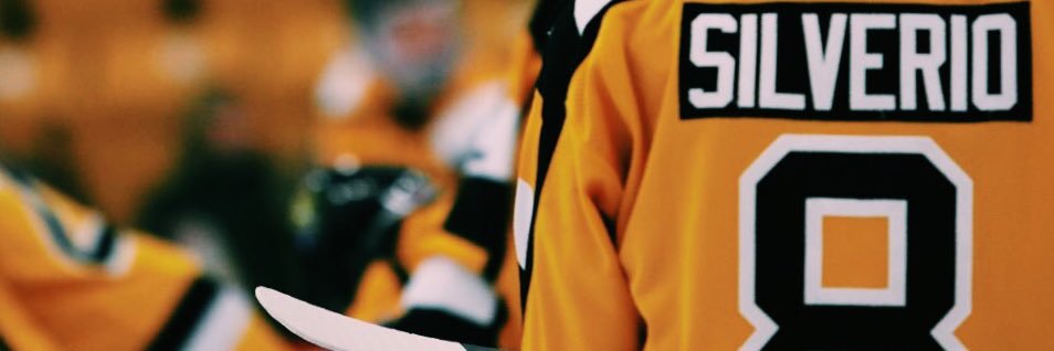 mannysilverio's profile banner image