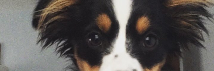 bfizzlepop's profile banner image