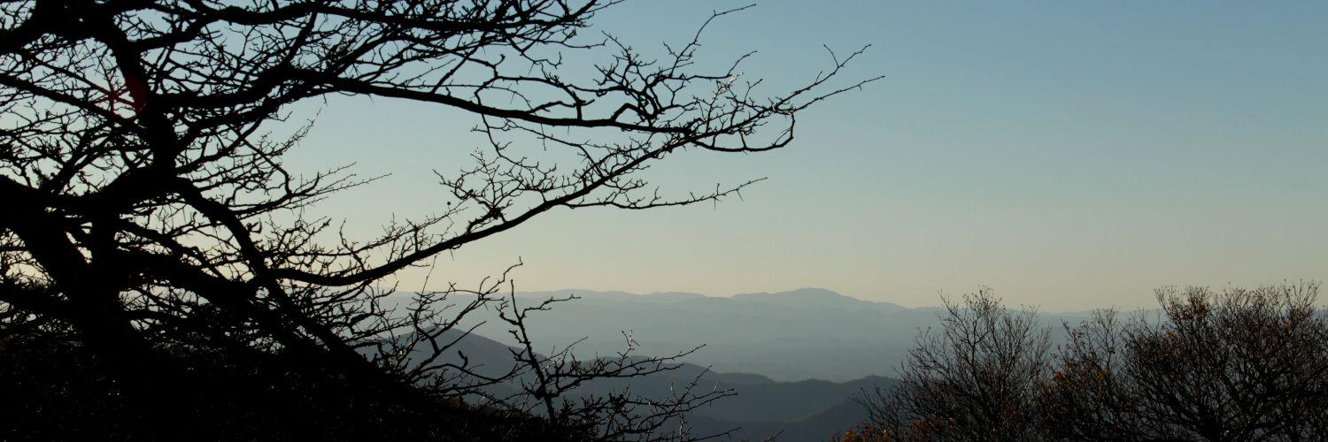 kimrueger's profile banner image