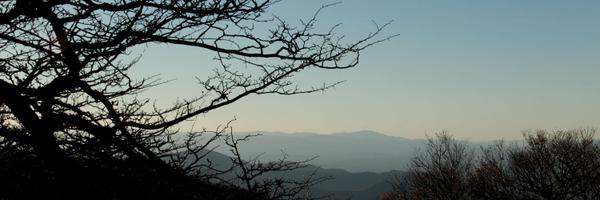 kimrueger Profile Banner